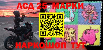 СК Владикавказ