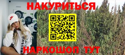 СК Владикавказ