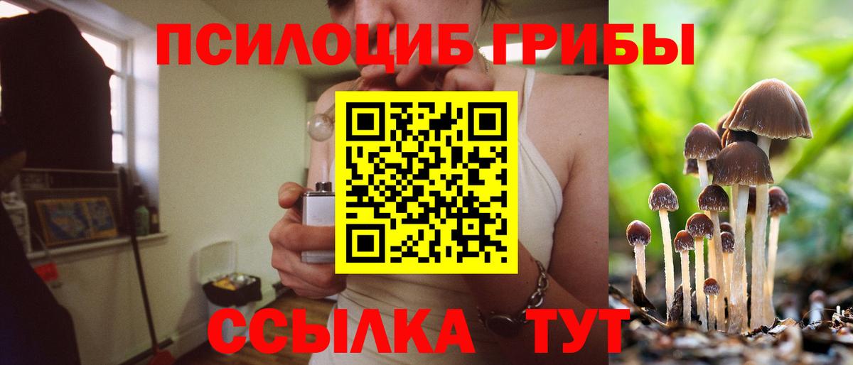 Псилоцибиновые грибы GOLDEN TEACHER Электрогорск