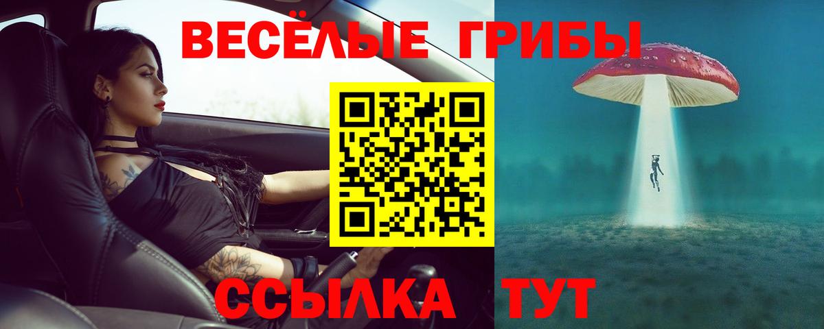 Псилоцибиновые грибы мухоморы  Вход с VPN  наркотики  Электрогорск 
